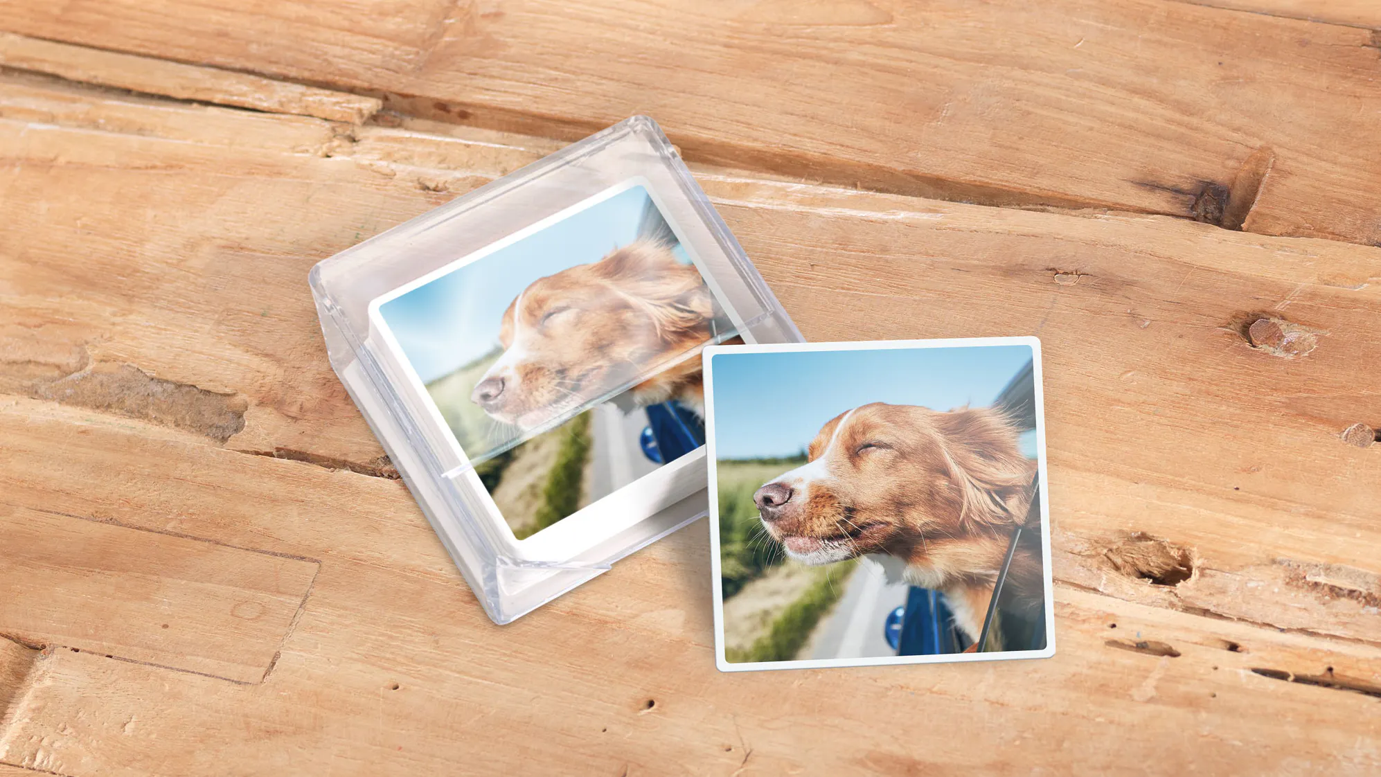 Foto Untersetzer mit Hundebild