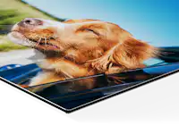 Foto auf Alu-Dibond gestalten Foto auf Alu-Dibond gestalten