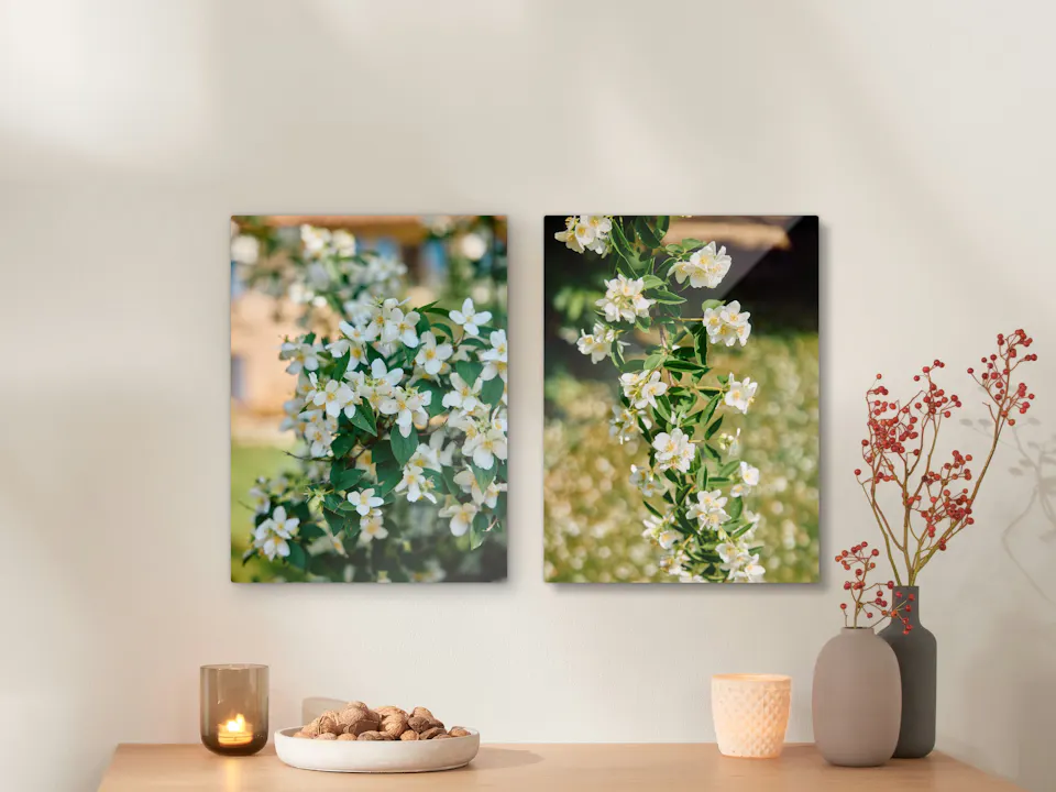 Wandbilder aus Acrylglas und Alu-Dibond
