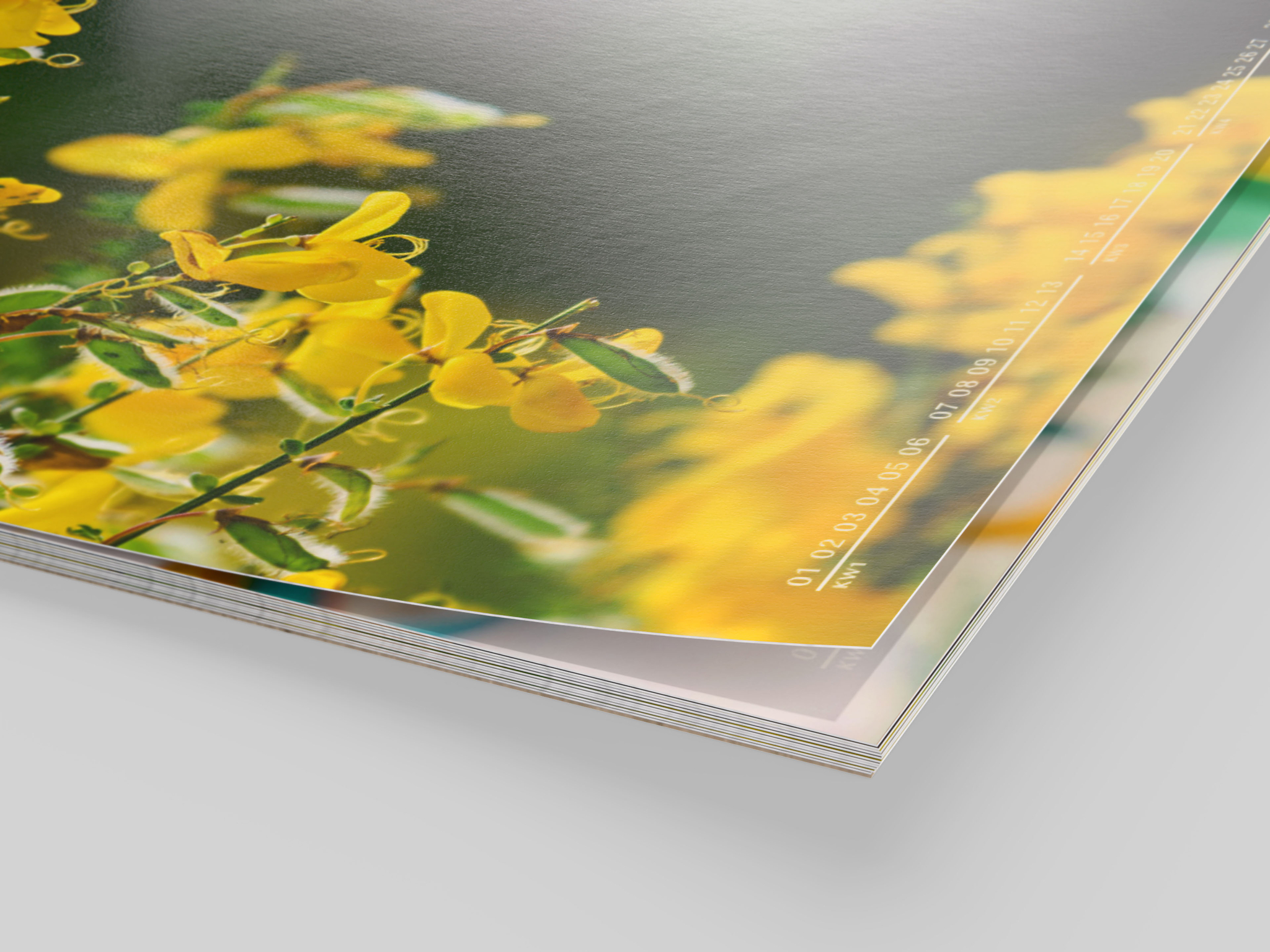 Fotokalender met een foto van een gele bloem op premium papier zijdeglans.