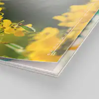 Fotokalender mit recyceltem Premiumpapier Fotokalender mit recyceltem Premiumpapier