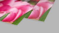 Fotoabzug auf glänzendem Fotopapier