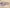 Álbum de fotos de bebé Álbum de fotos de bebé con fotos de recién nacidos en un fondo beige