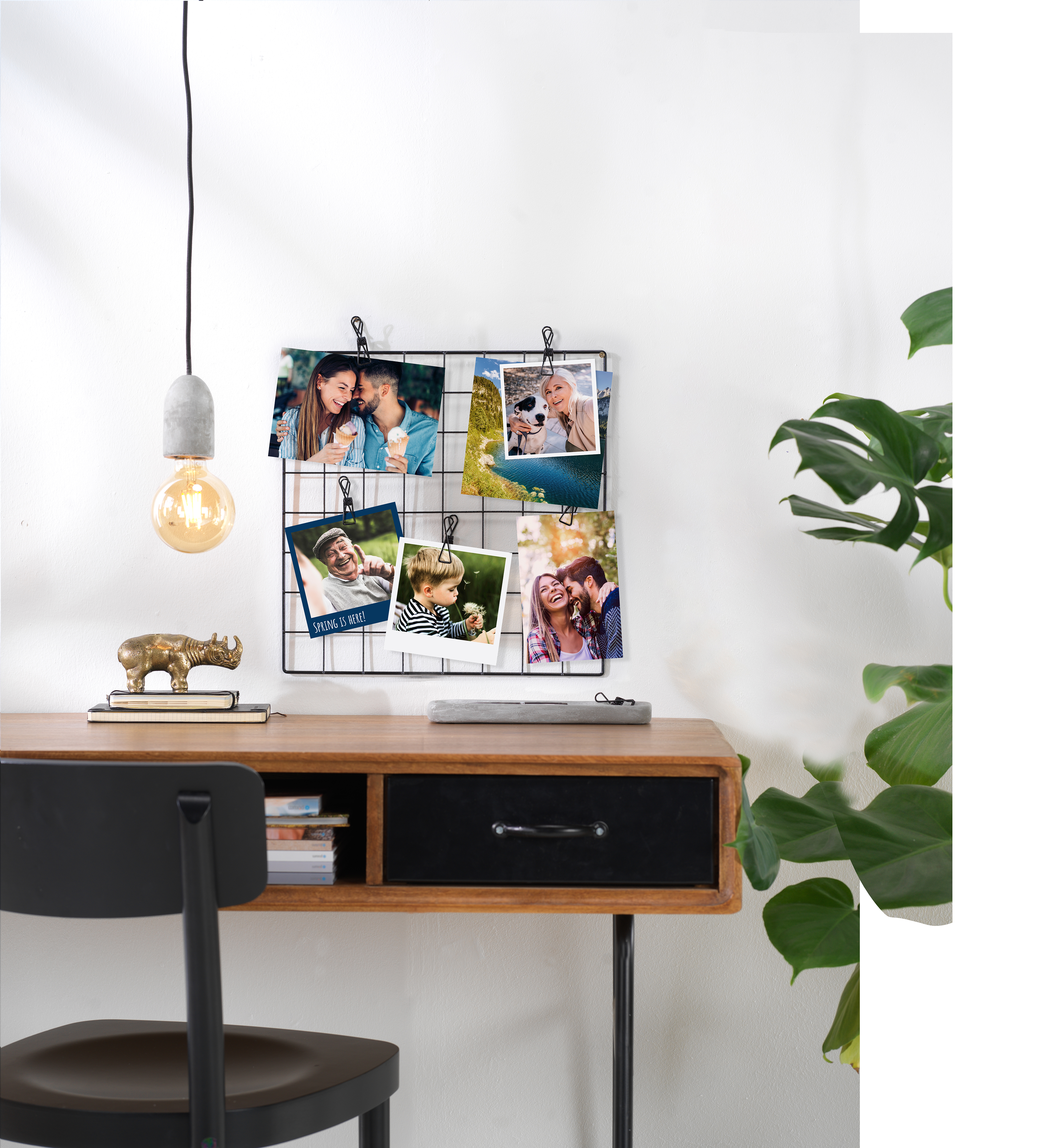 Verschiedene Fotoabzüge zum Thema Frühling