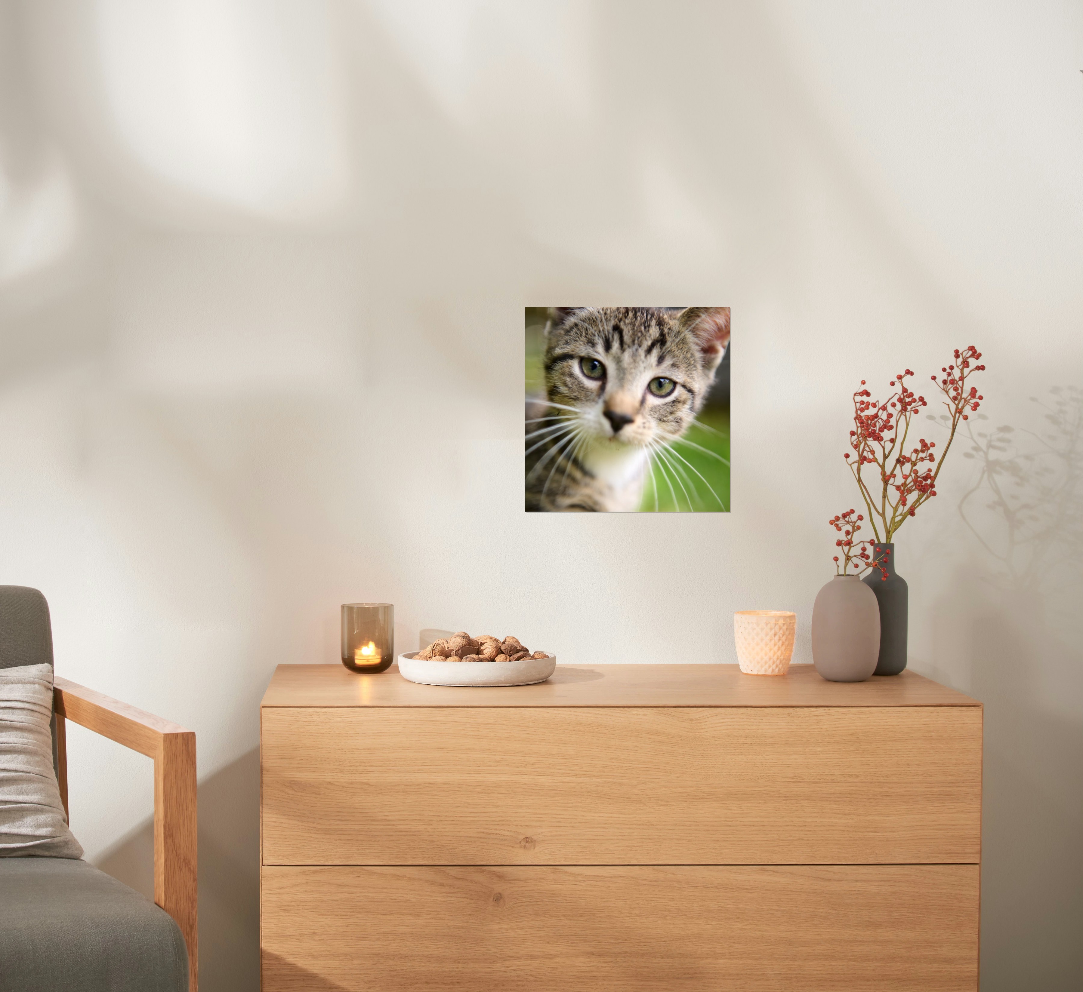 Ein Fotoposter mit einem Katzenfoto hängt an einer Wand