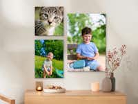 Pixum Fotoleinwand mit Familienfotos Mehrere Fotoleinwände mit Familienfotos hängen an einer Wand