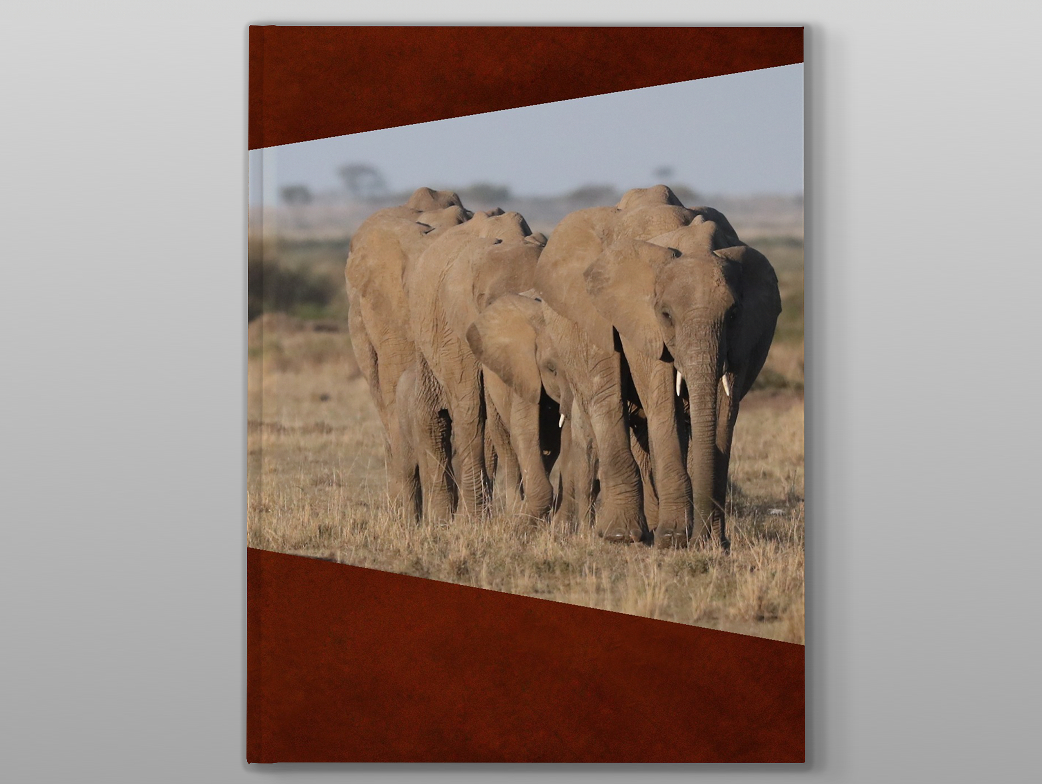 Pixum Fotobuch Kundenbeispiel von der Serengeti