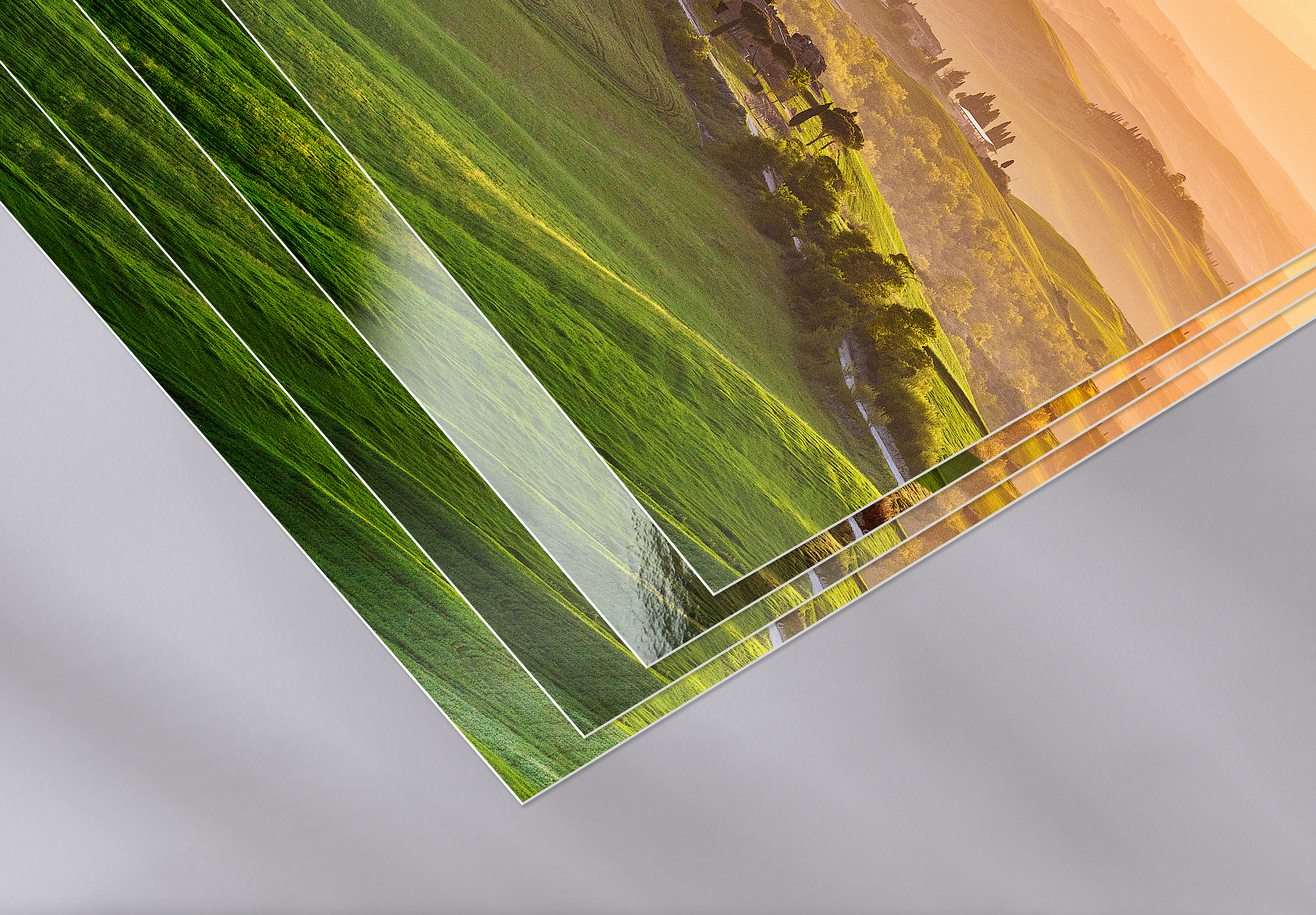 Four photo book paper types