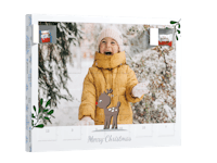 Pixum Adventskalender mit Rentier-Design Pixum Adventskalender mit Rentier-Design