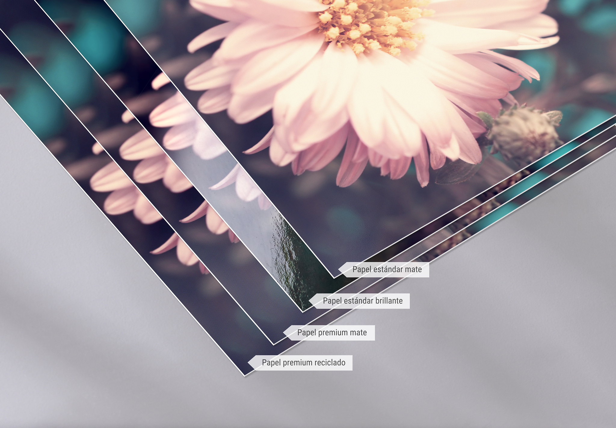 Vista detallada de 4 papeles diferentes para invitaciones