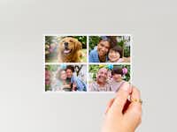 Foto tamaño cartera con las fotos de una familia Foto tamaño cartera con las fotos de una familia