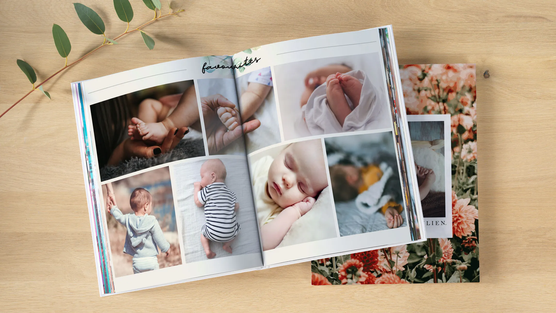 Livre photo grossesse