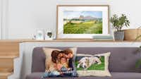 Fotoprodukte als persönliche Deko gestalten Modernes, helles Wohnzimmer mit grauem Sofa, dekoriert mit zwei personalisierten Fotokissen – eines zeigt ein Paar und das andere einen Hund auf einer Wiese mit dem Namen "Charly" darunter. Auf dem Regal über dem Sofa steht ein gerahmtes Landschaftsbild mit Wiese und Bergen, daneben Pflanzen, Bücher und zwei Tassen mit Herzmotiven. Auf der linken Seite führen Holzstufen nach oben, rechts steht eine große grüne Pflanze im Korb auf dem Boden.