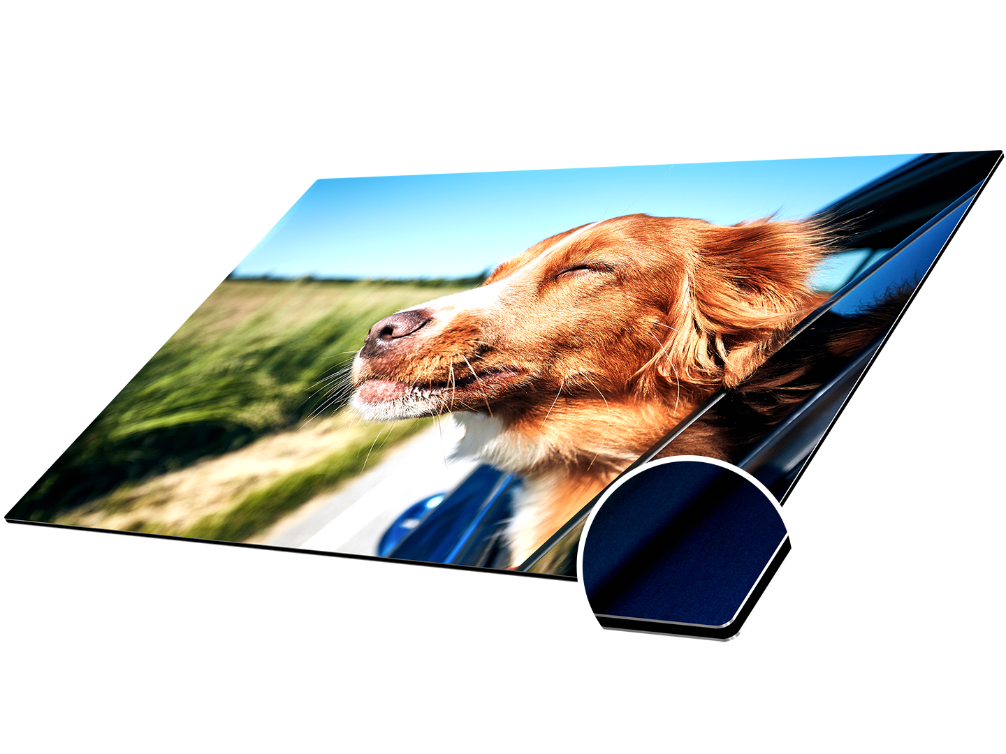 Foto auf Alu-Dibond im Detail mit Motiv eines Hundes, der aus dem Autofenster schaut