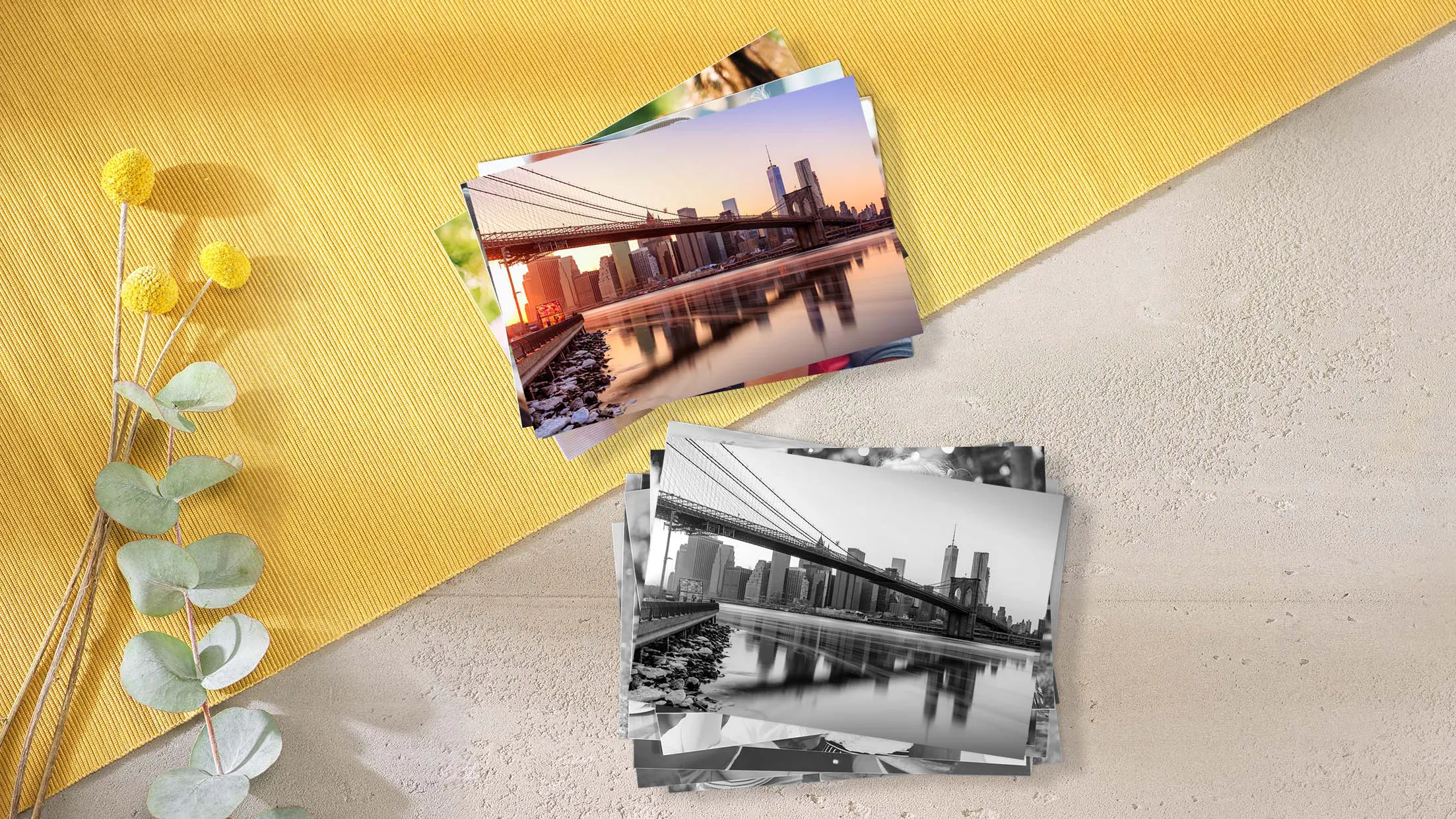 Revelado de fotos en blanco y negro y colorido Revelado de fotos en blanco y negro y colorido
