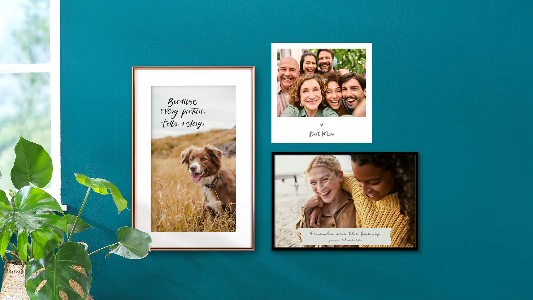 Divers posters avec texte