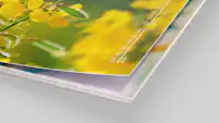 Fotokalender auf Fotopapier edelmatt Fotokalender auf Fotopapier edelmatt