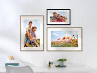 Bild im Metallrahmen Bilder im Metallrahmen schwarz-, gold- und kupferfarbend mit sommerlichen Familienmotiven