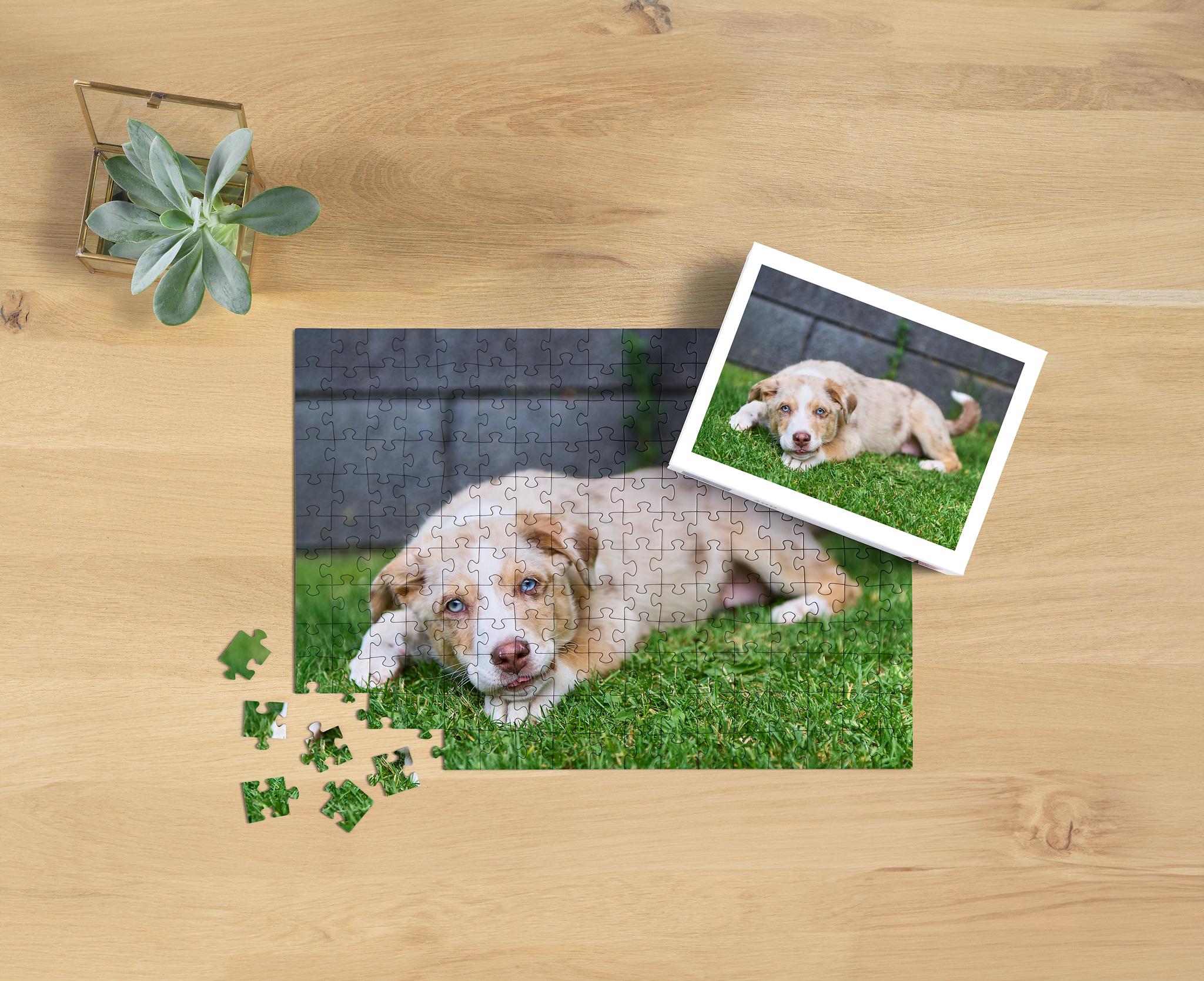 Pixum Fotopuzzle mit 200 Teilen und Bild von einem Hund 