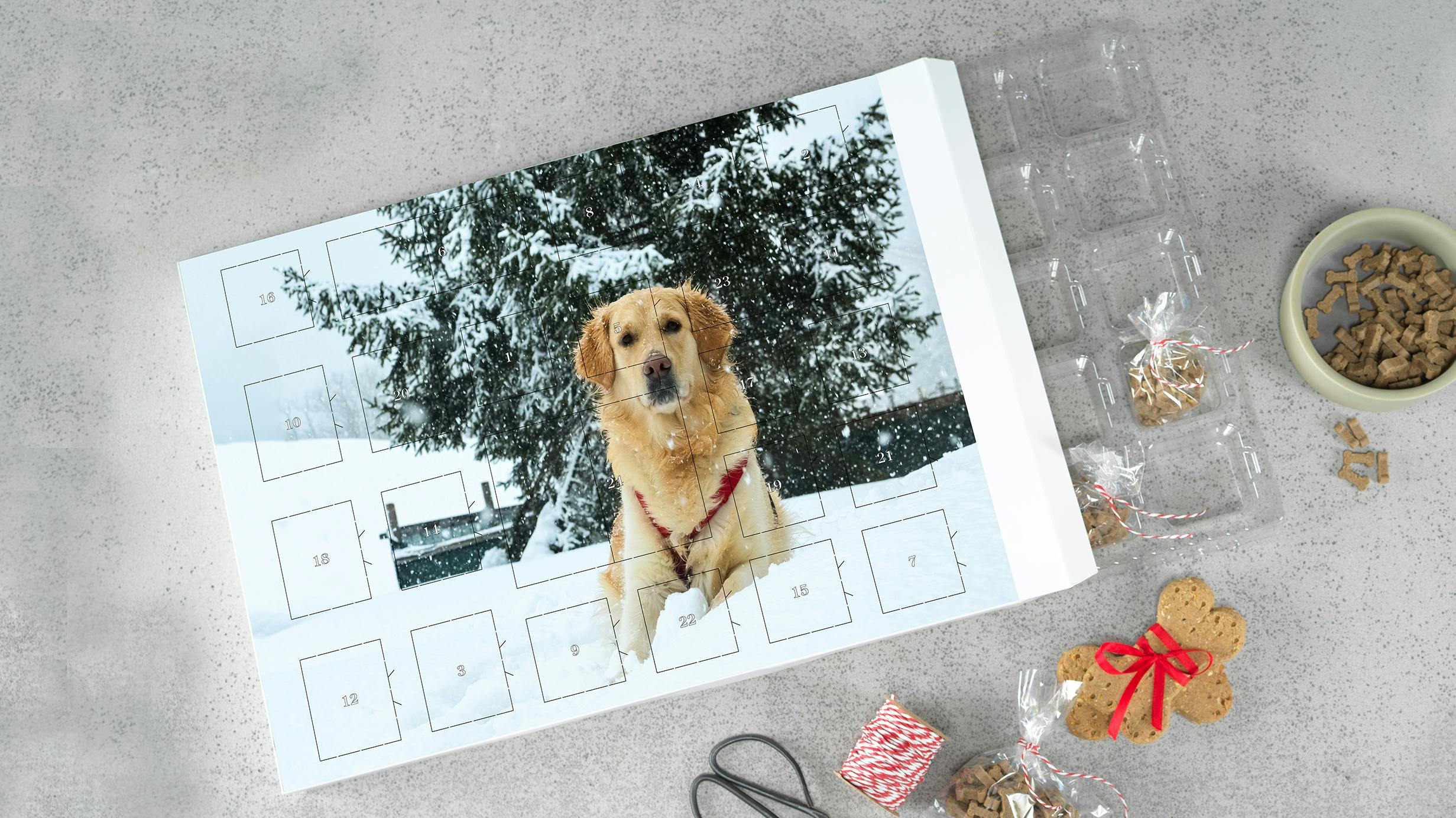 Skapa din egen hundadventskalender med ett foto på en hund