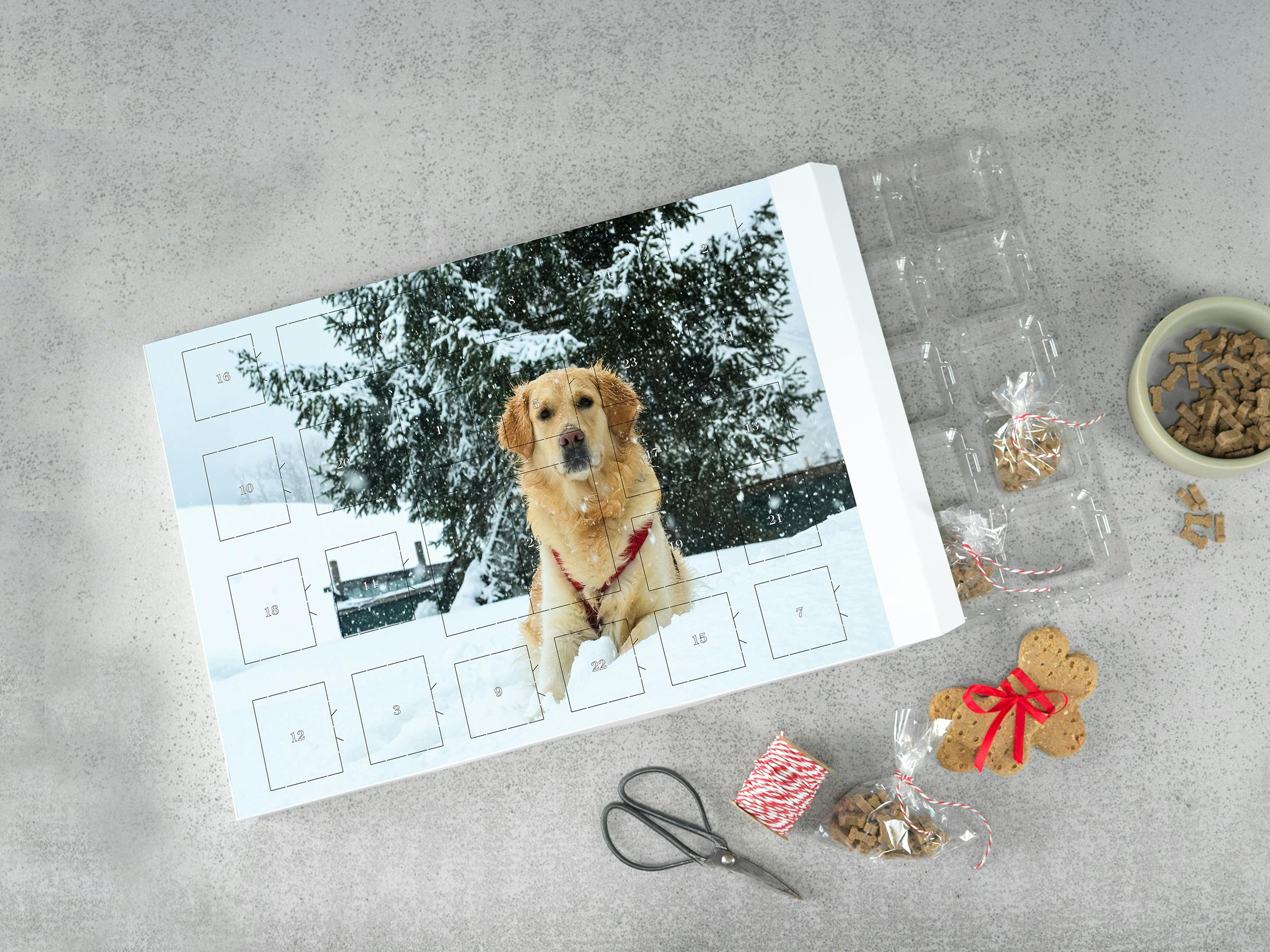 Calendario de Adviento para rellenar con foto de un perro en la nieve