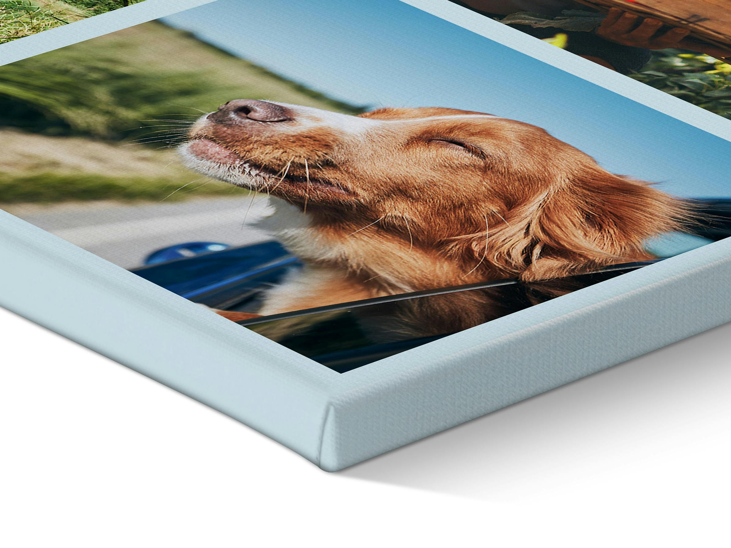 Fotocollage auf Leinwand mit sommerlichem Hundemotiv