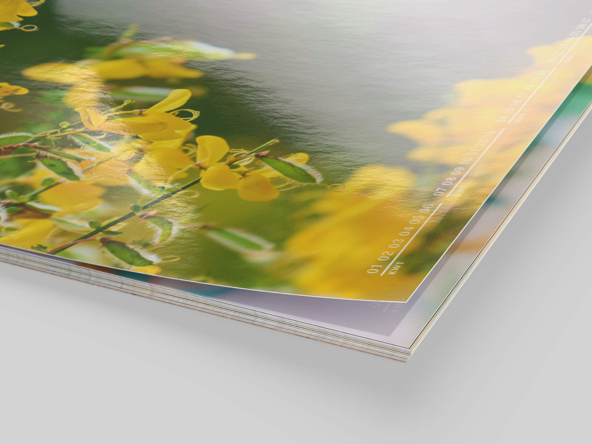 Calendrier photo imprimé sur papier photo brillant