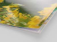 Photo calendar on glossy photo paper Photo calendar on glossy photo paper