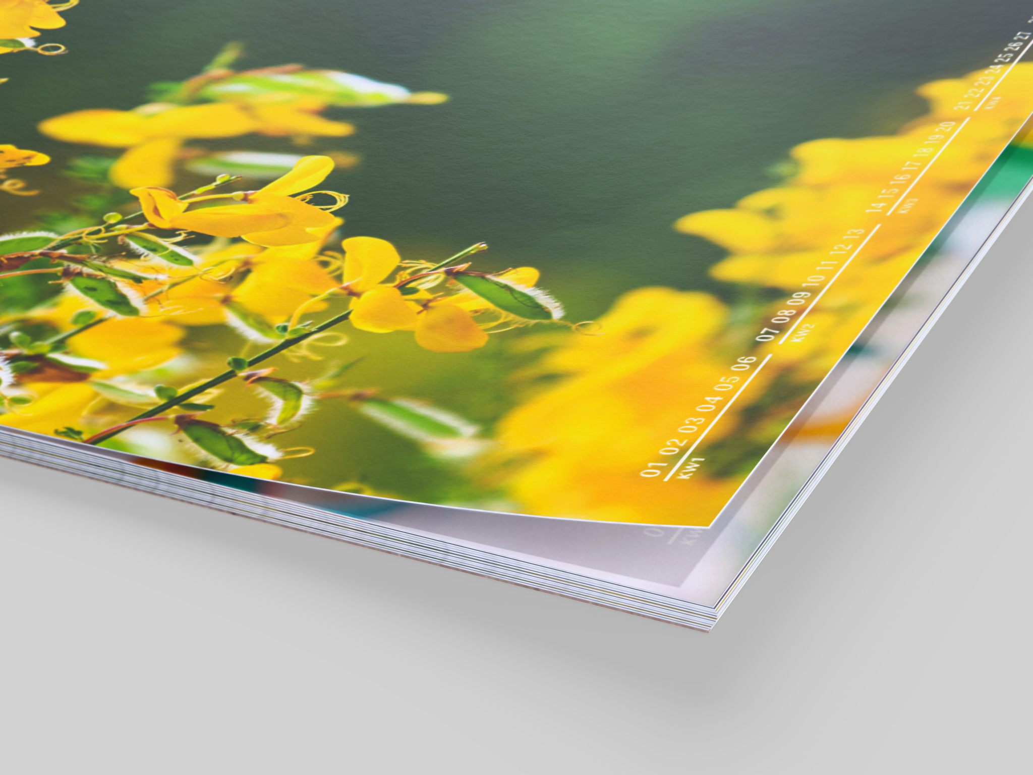 Aufgeschlagener Fotokalender mit einem gelben Blumenmotiv auf Fotopapier matt