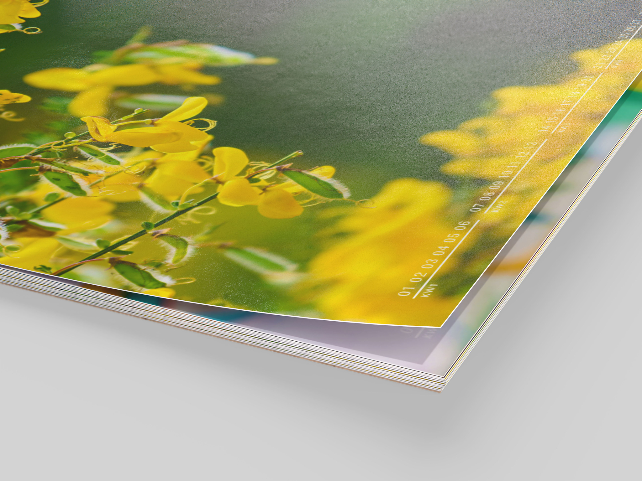 Fotokalender met een foto van een gele bloem op fotopapier zijdeglans.