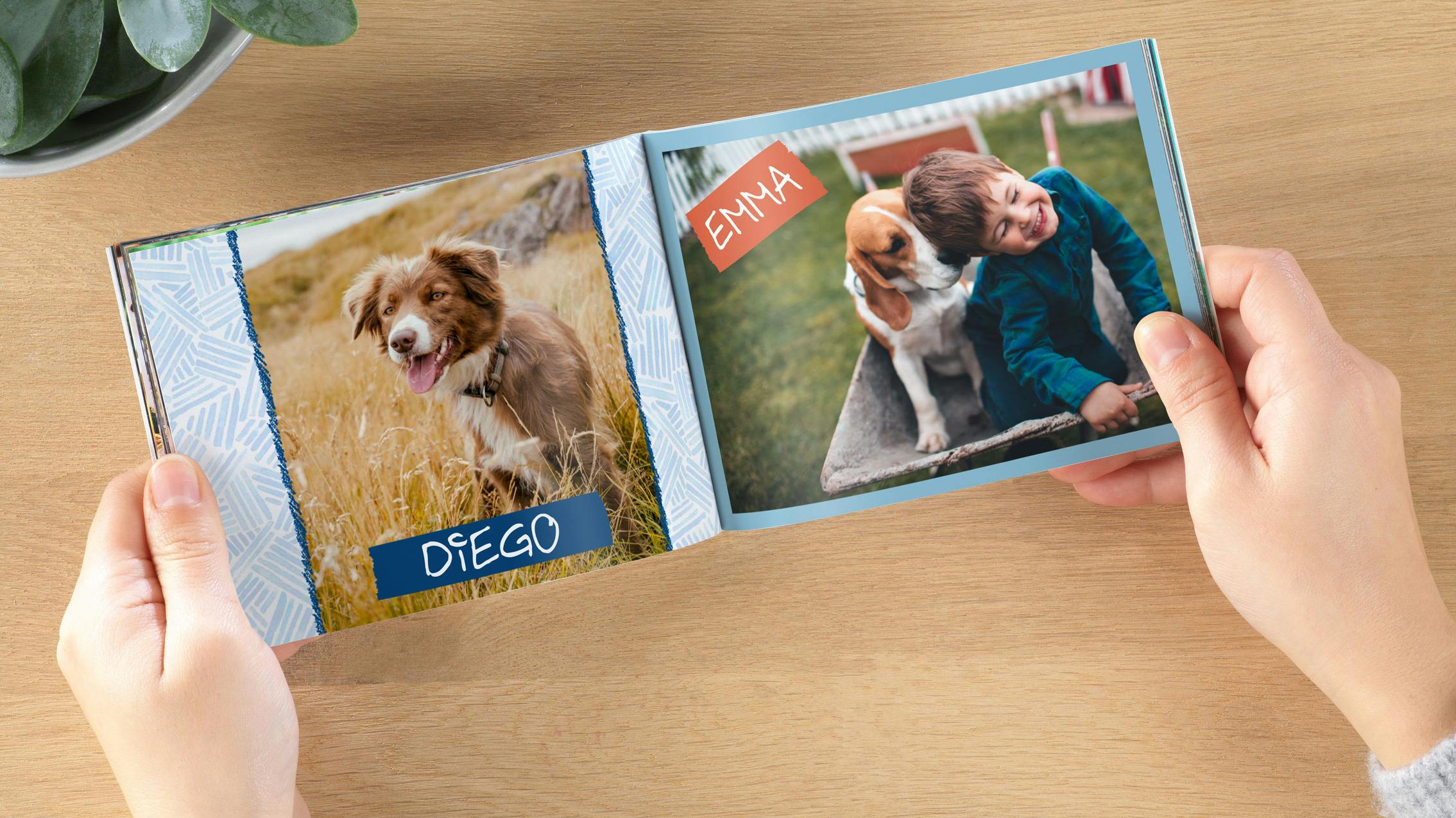 Livre photo avec couverture souple et photos d'un enfant et d'un chien