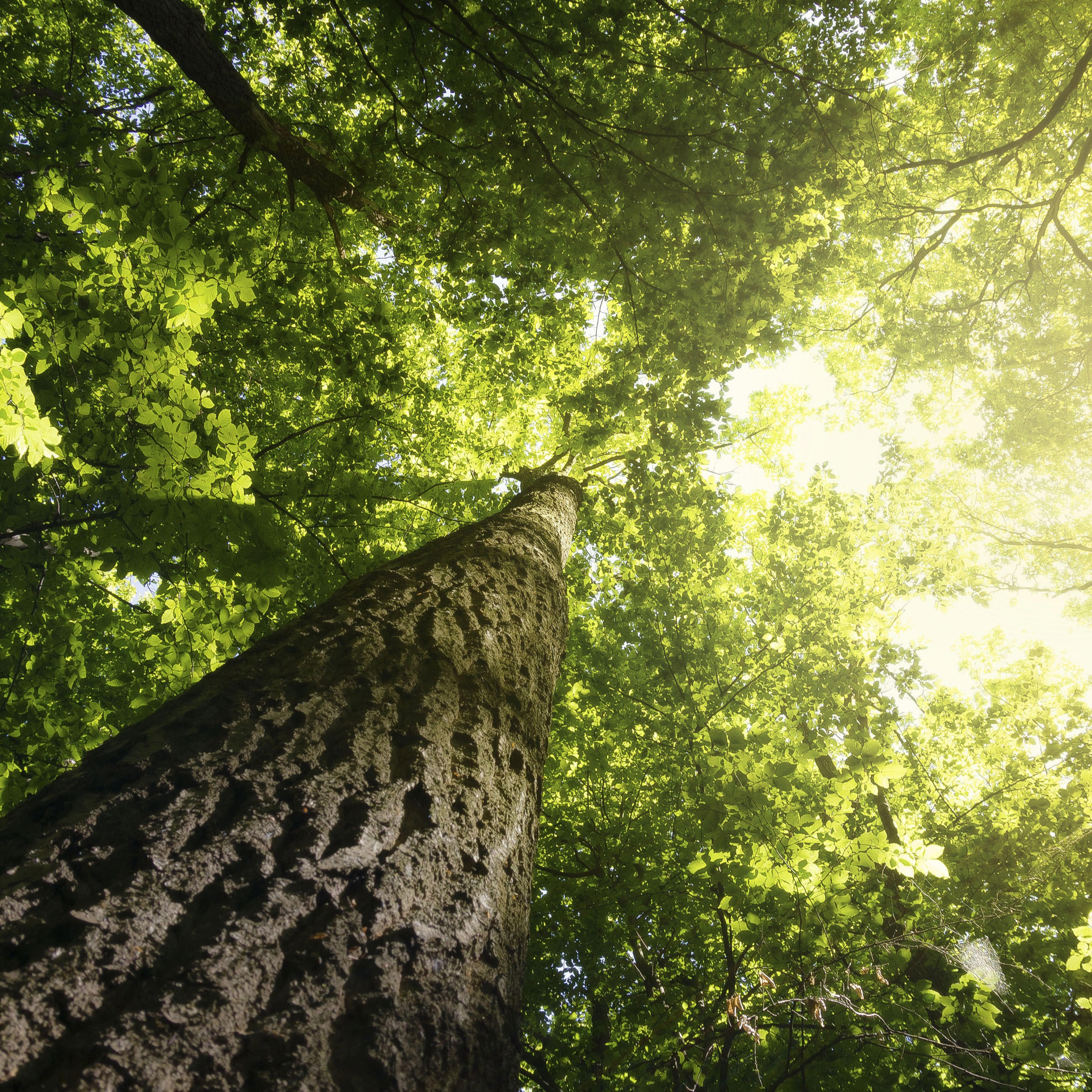 Upptäck mer information om våra Pixum produkter och vad vi gör för miljön