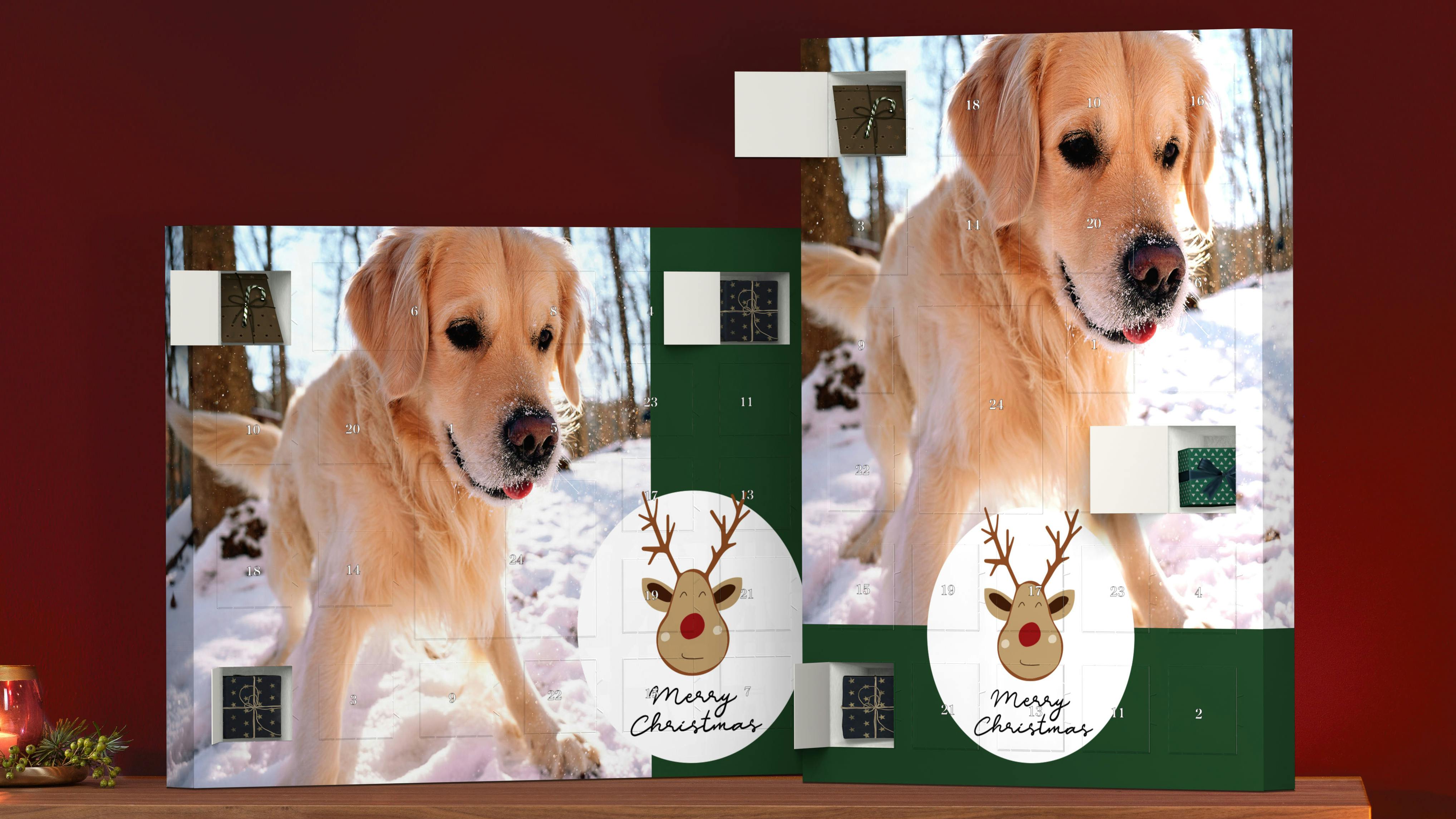 Fotoadventskalender för att fylla dig själv med en hundbild i julstämning