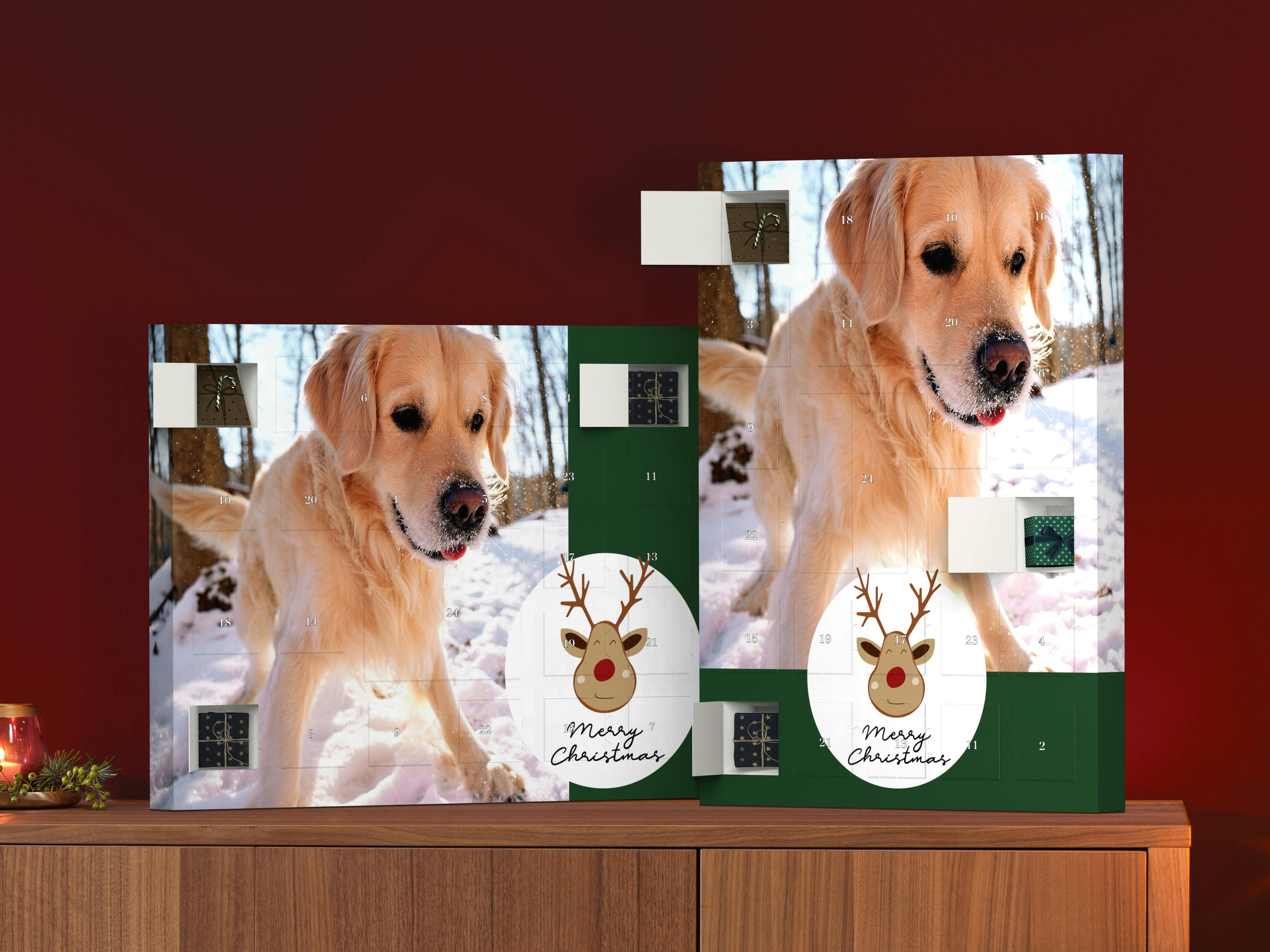 Photo Advent Calendar to fill yourself with an image of a dog in a Christmas setting