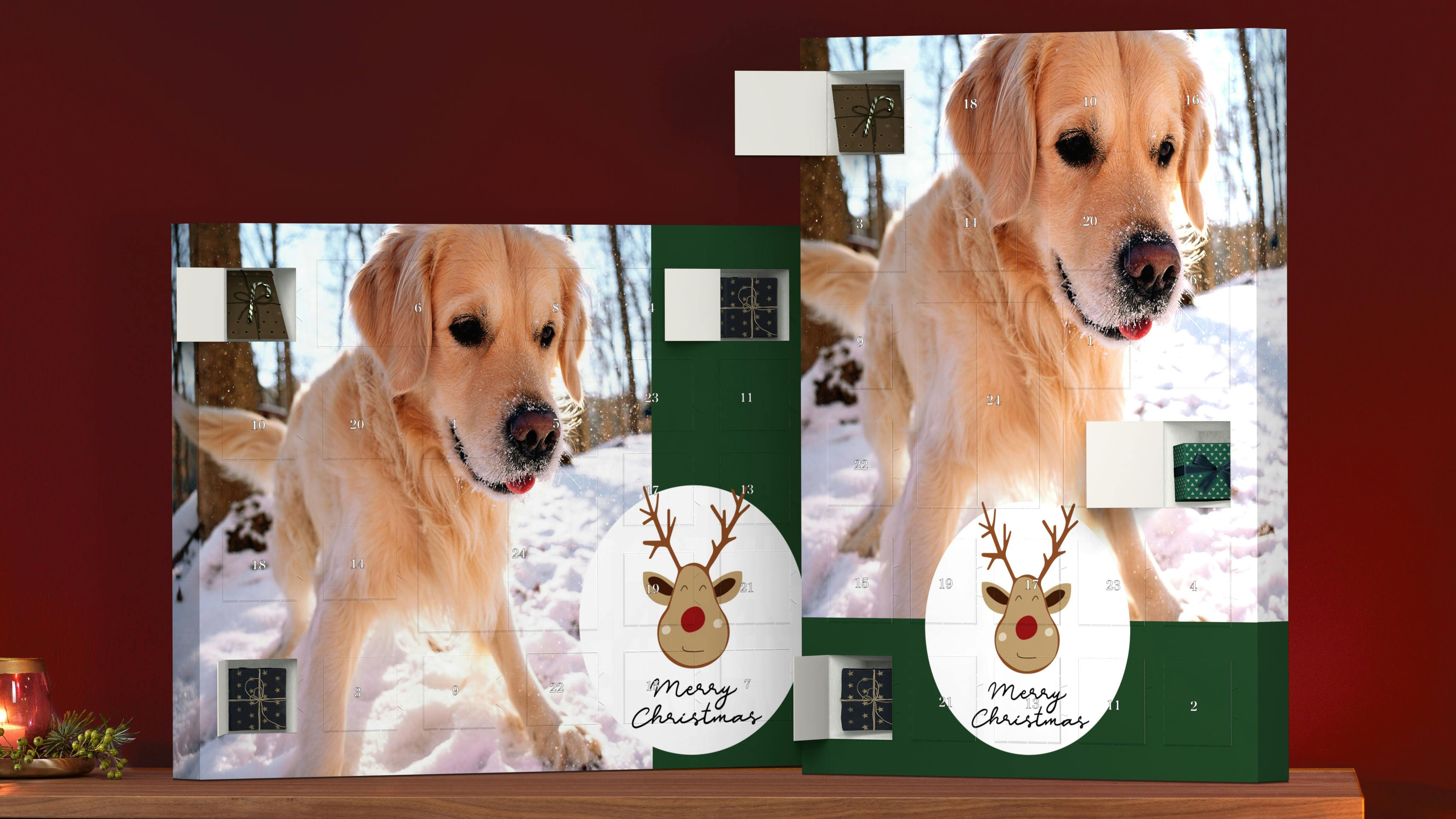 Foto-Adventskalender zum Selbstbefüllen mit einem Hundemotiv im weihnachtlichen Ambiente