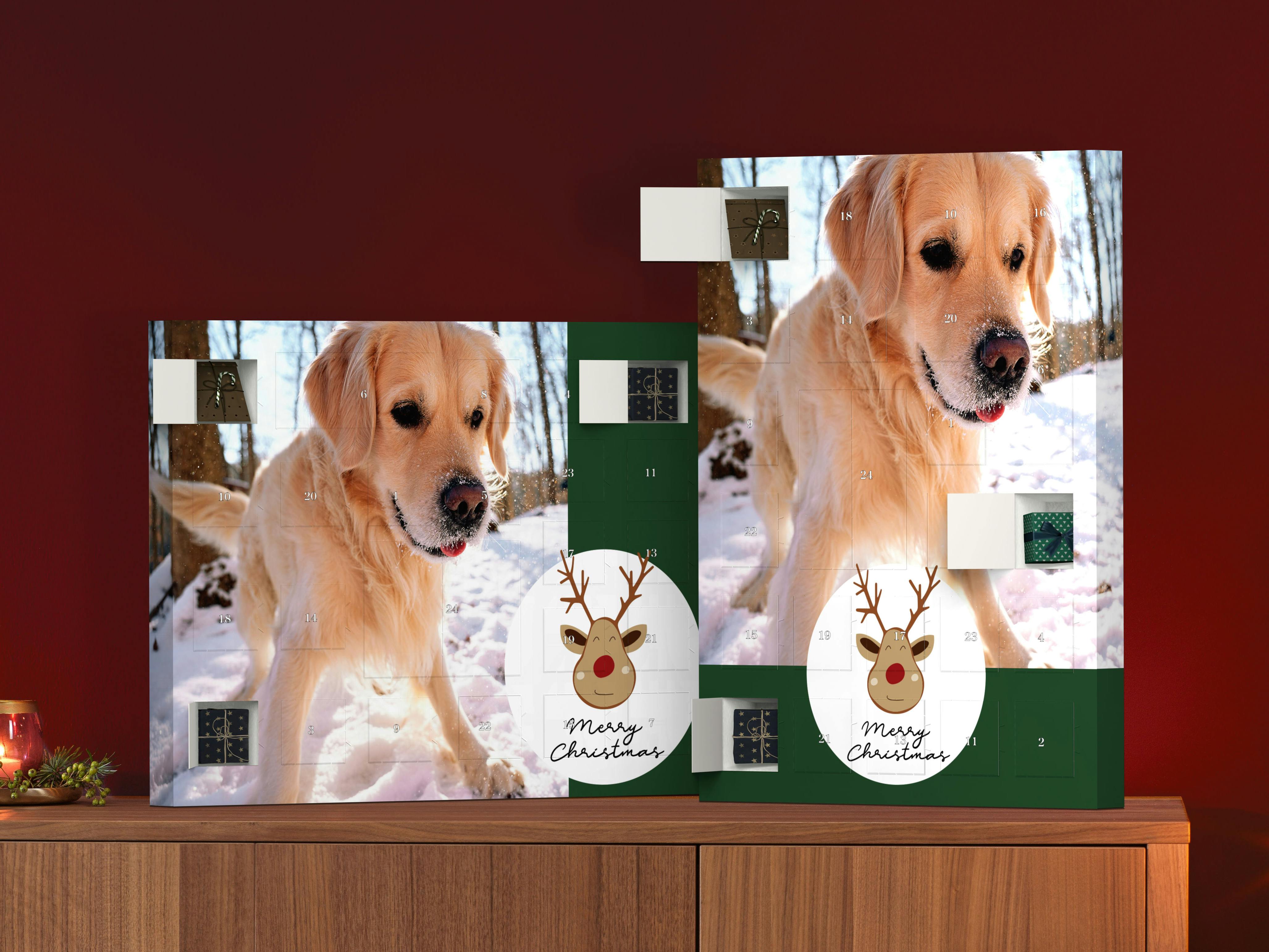 Foto-Adventskalender zum Selbstbefüllen mit einem Hundemotiv im weihnachtlichen Ambiente