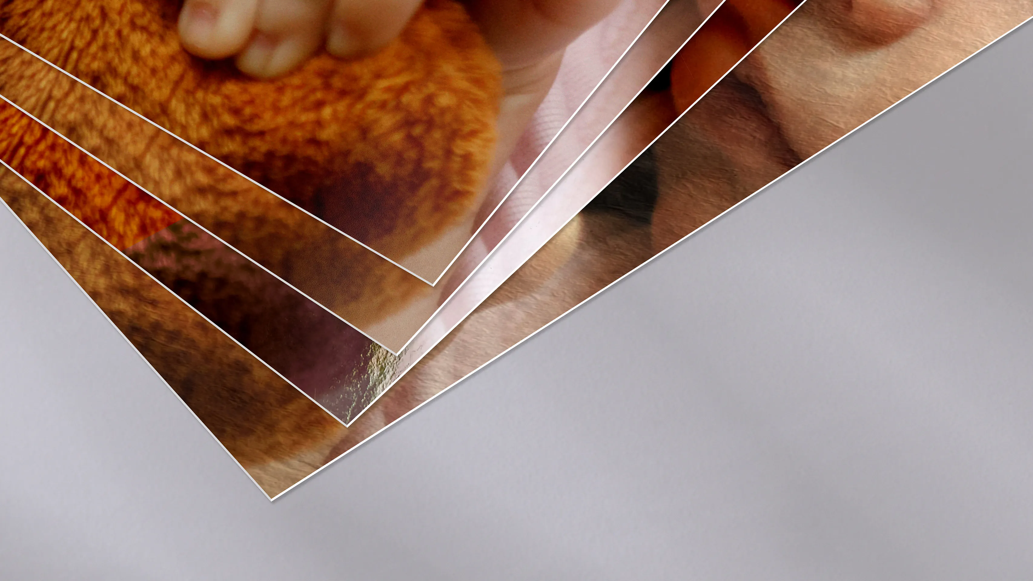 Fotogrußkarten mit hochwertigen Papierarten