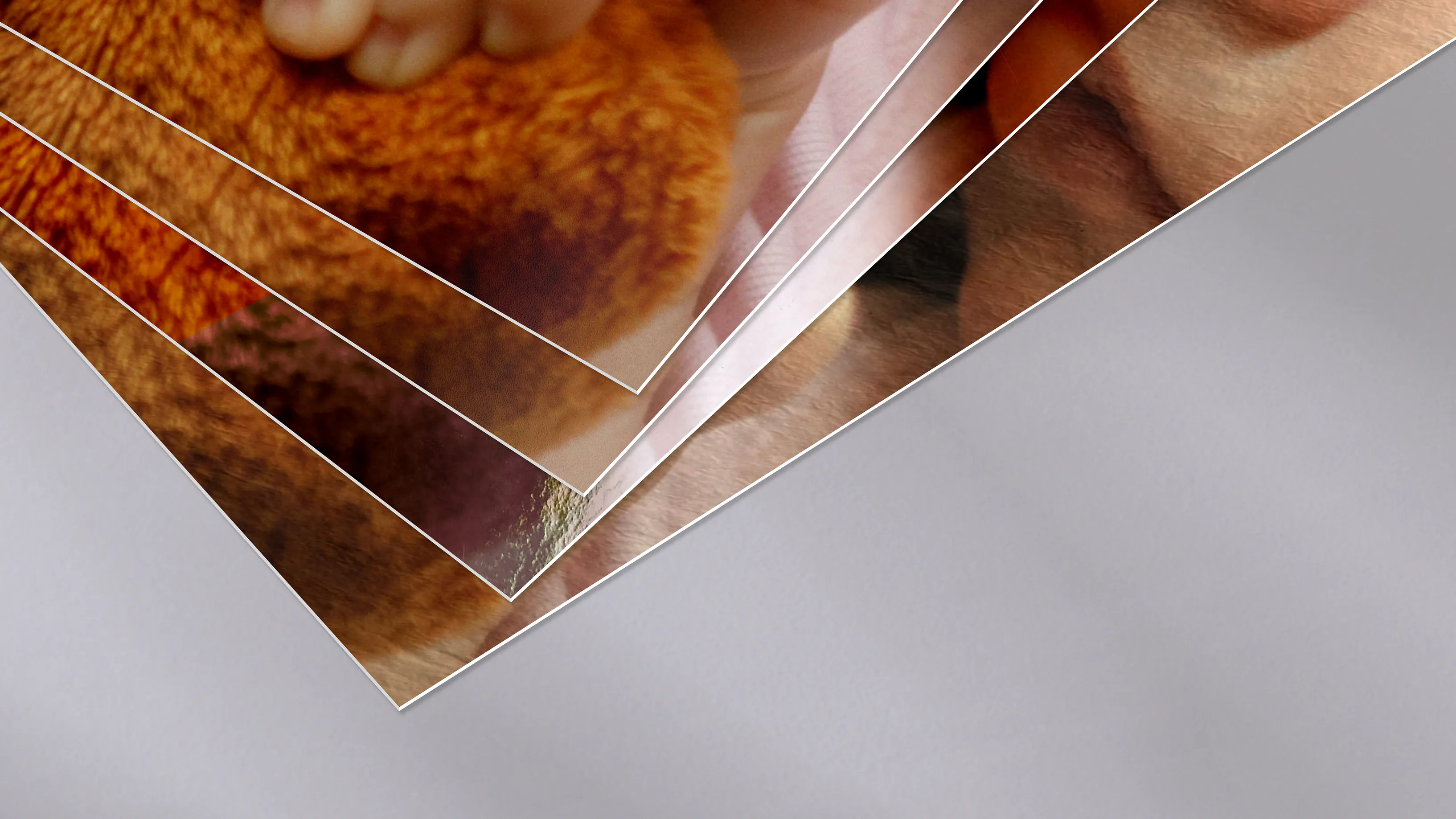 Fotogrusskarten mit hochwertigen Papierarten