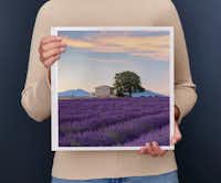 Fotoboek vierkant XL Een persoon houdt een fotoboek vast met daarop een lavendelveld bij zonsondergang met een eenzame boom en huis op de achtergrond.