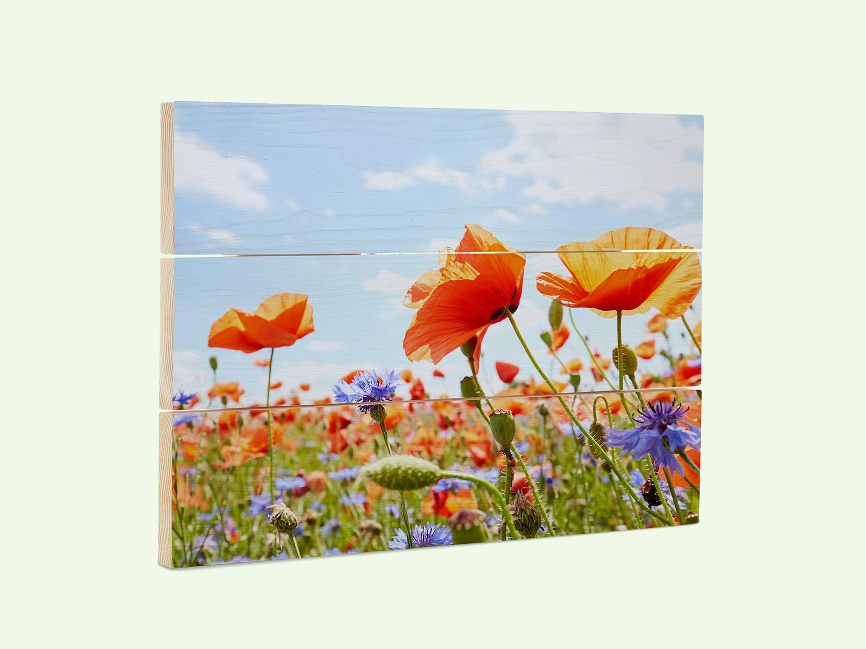 Tableau photo sur bois personnalisé avec une photo d'un champ de fleurs