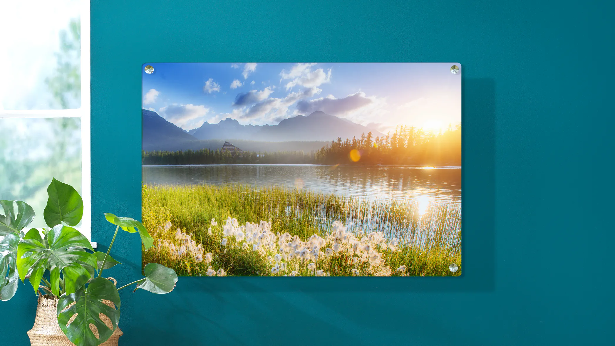 Tableau plexi-alu Tableau plexi-alu
