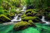 Bild von einem Wald mit einem Wasserfall im Fokus