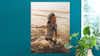 Fotoplakat i portrætformat med sommermotiv af en lille dreng i havet