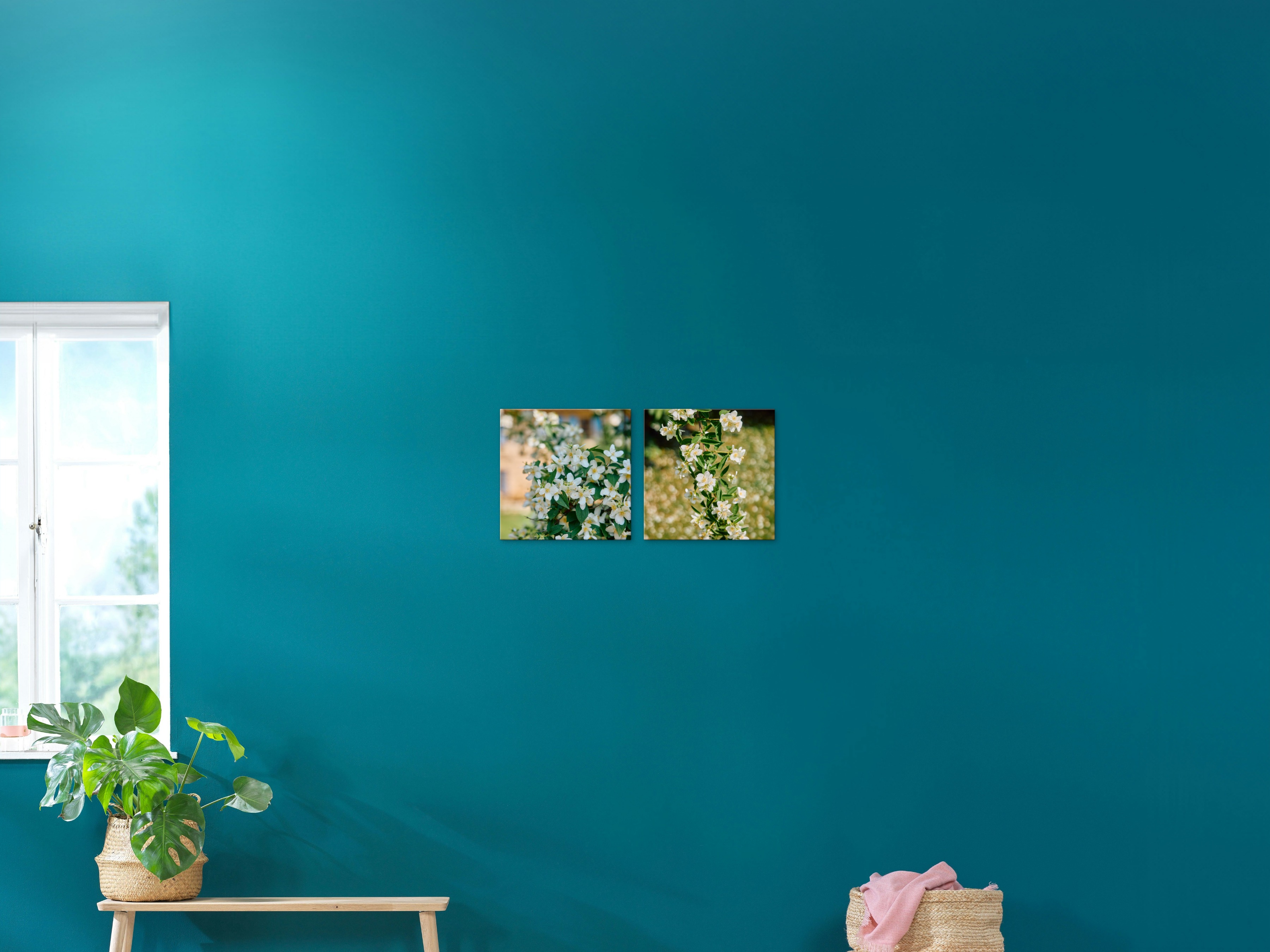 Deux toiles photo au format 50x50 cm avec des photos de fleurs dans un jardin.