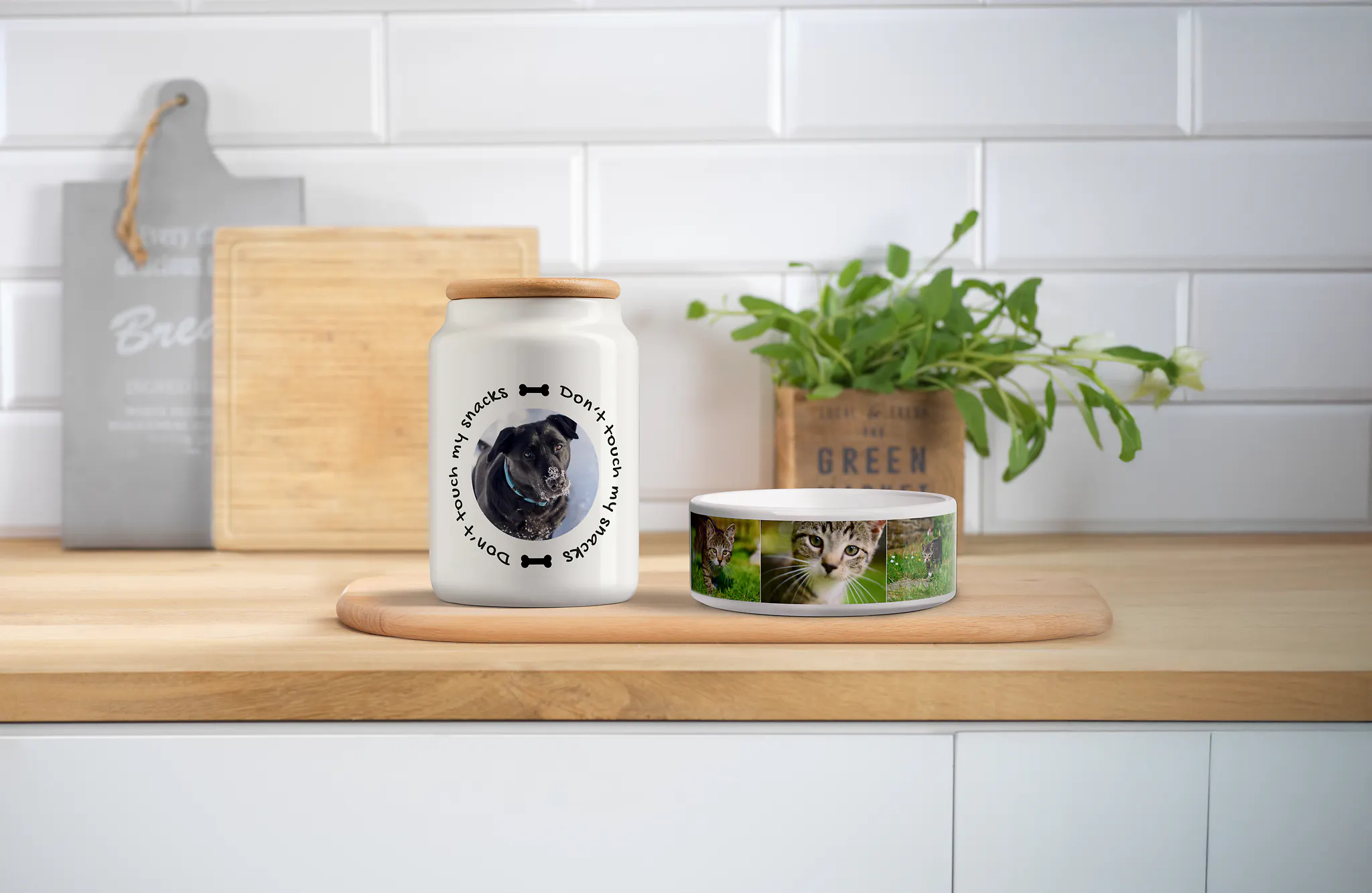 Leckerlidose und ein Futternapf mit Tierfotos Leckerlidose und ein Futternapf mit Tierfotos