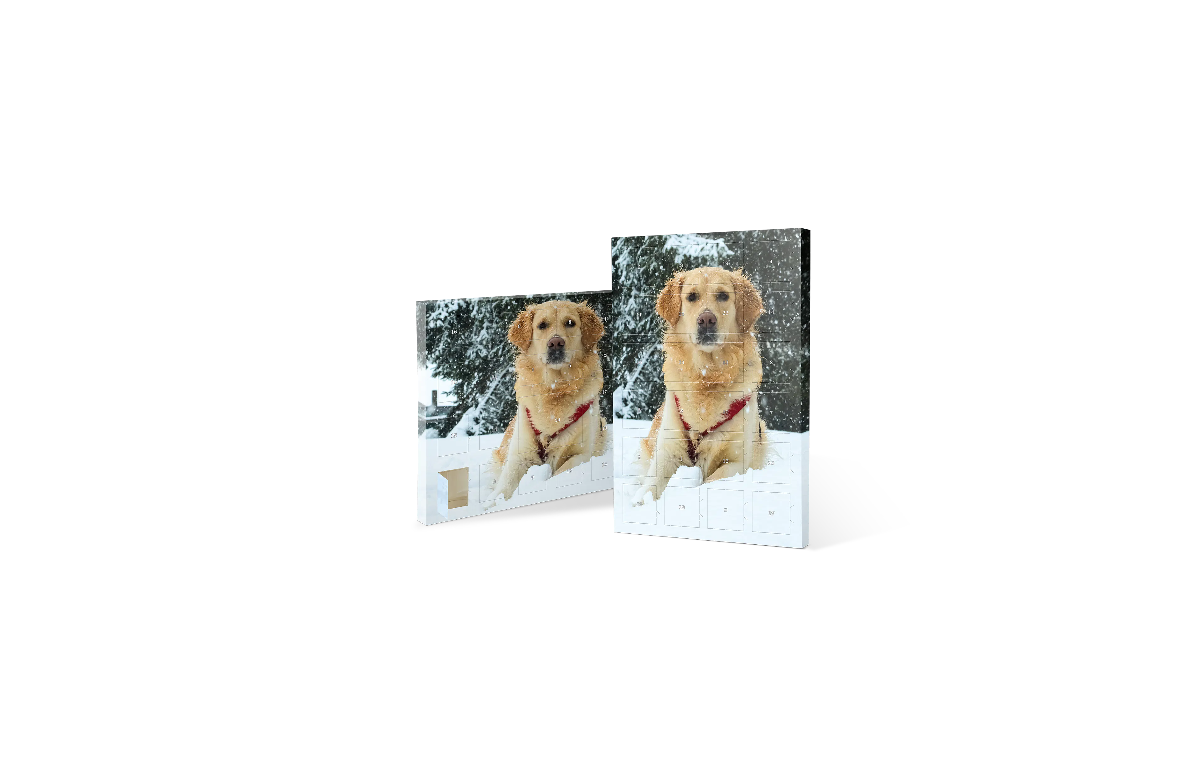 Adventskalender till din hund