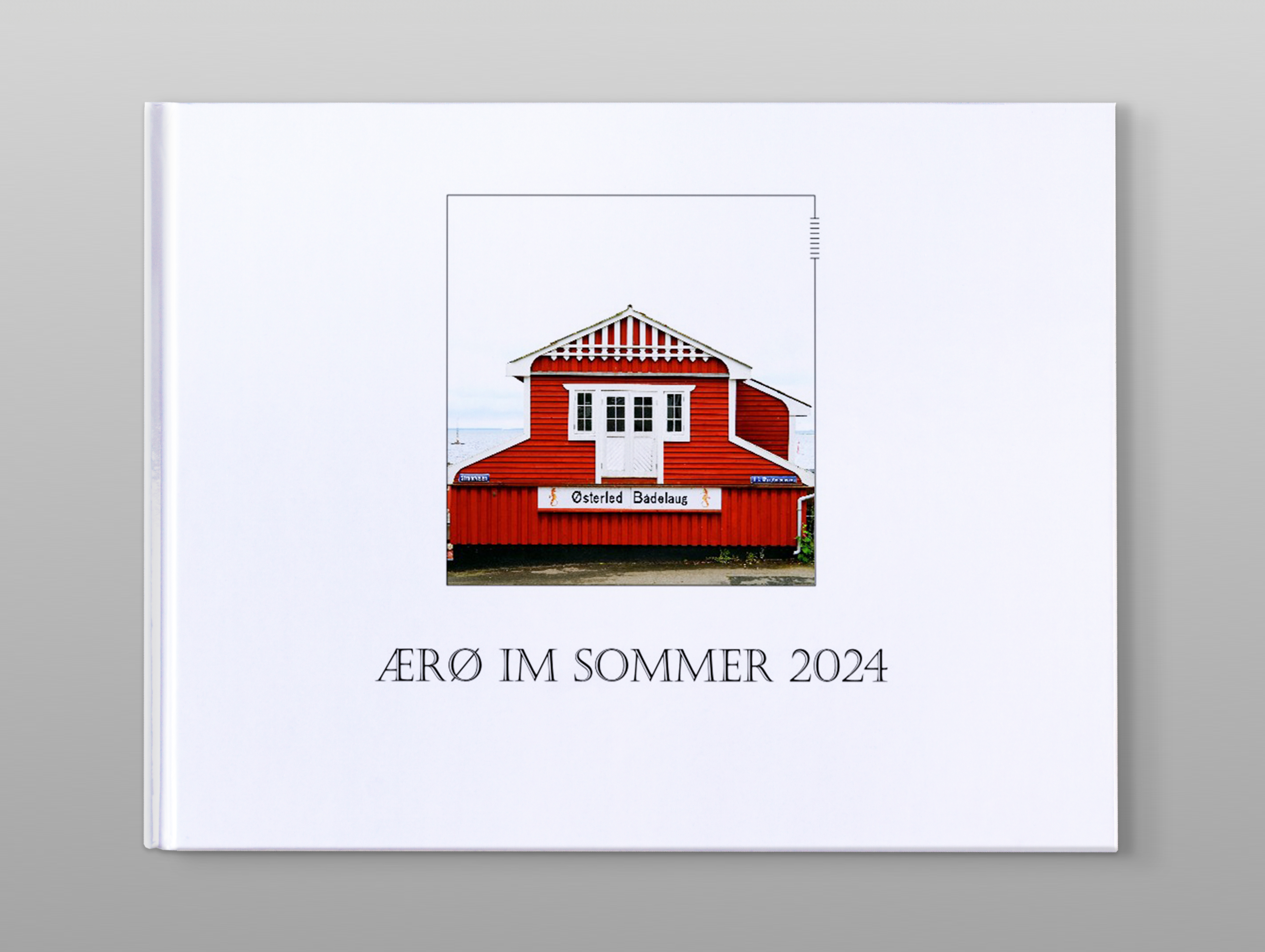 Cover eines Pixum Fotobuch Kundenbeispiels von Dänemark vor grauem Hintergrund