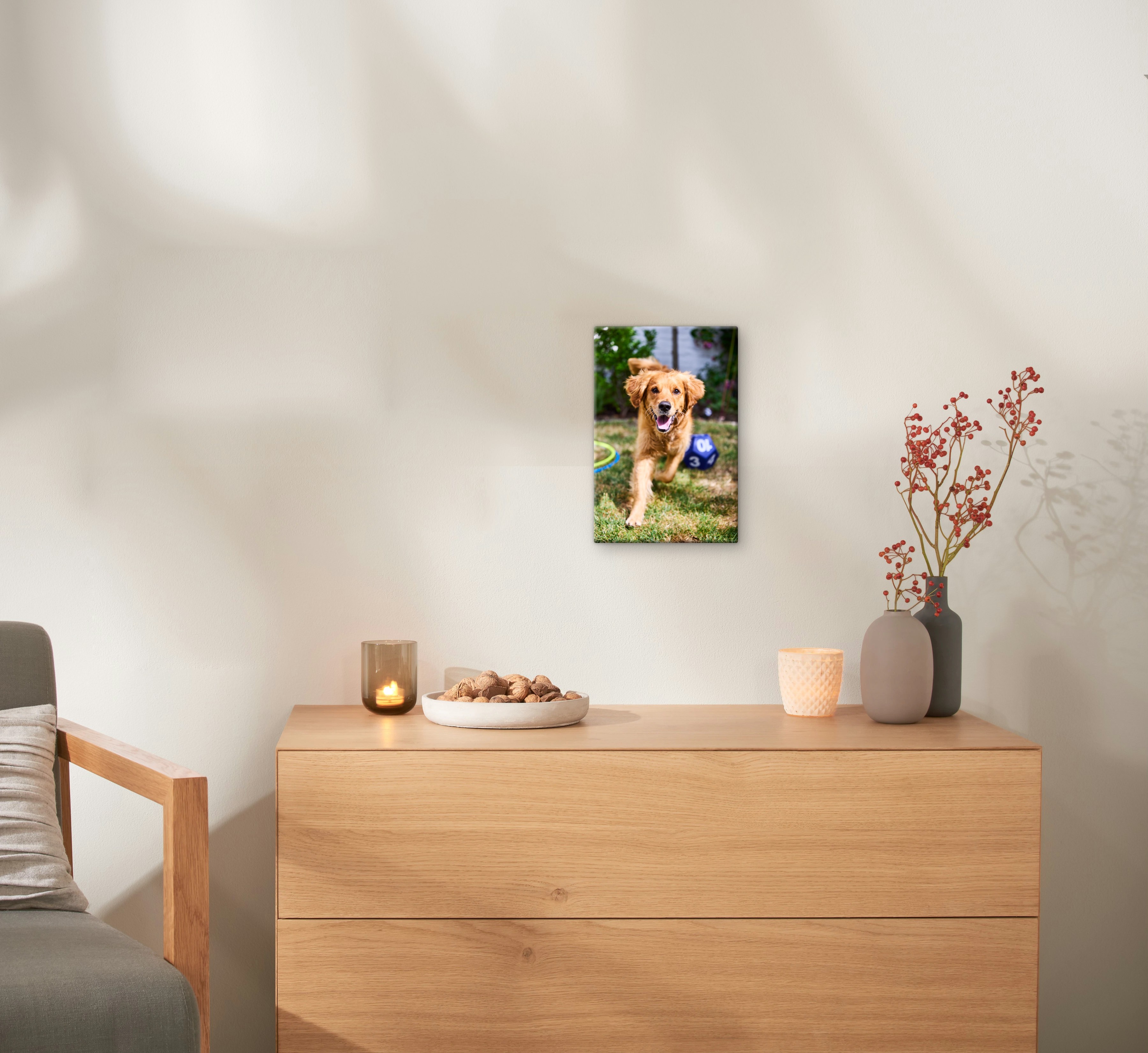 Fotoleinwand mit einem Hundefoto hängt an einer Wand