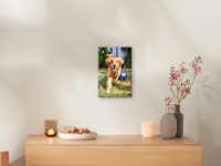 Pixum Fotoleinwand mit Hundefoto Fotoleinwand mit einem Hundefoto hängt an einer Wand