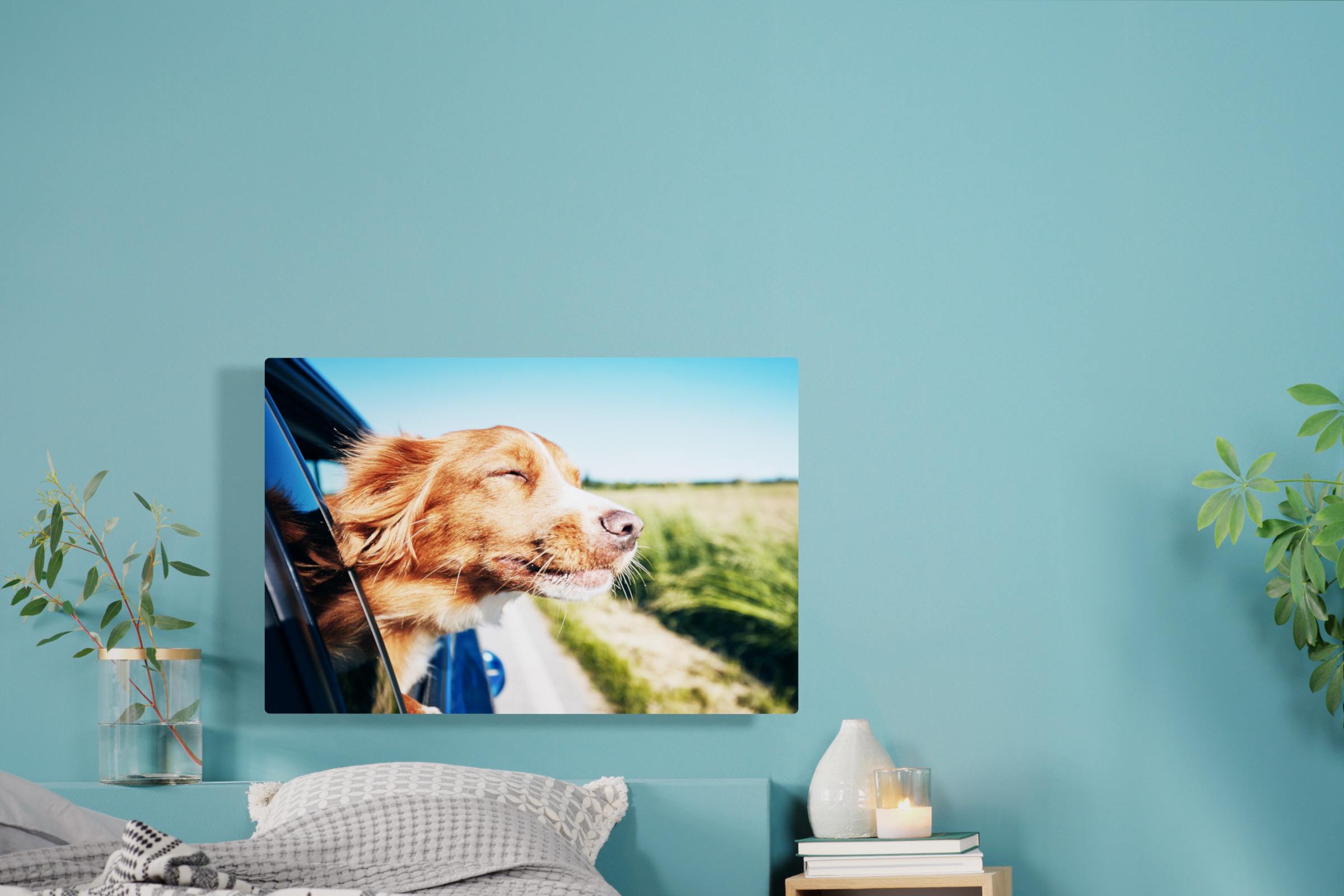 Stampa su alluminio con foto di un cane